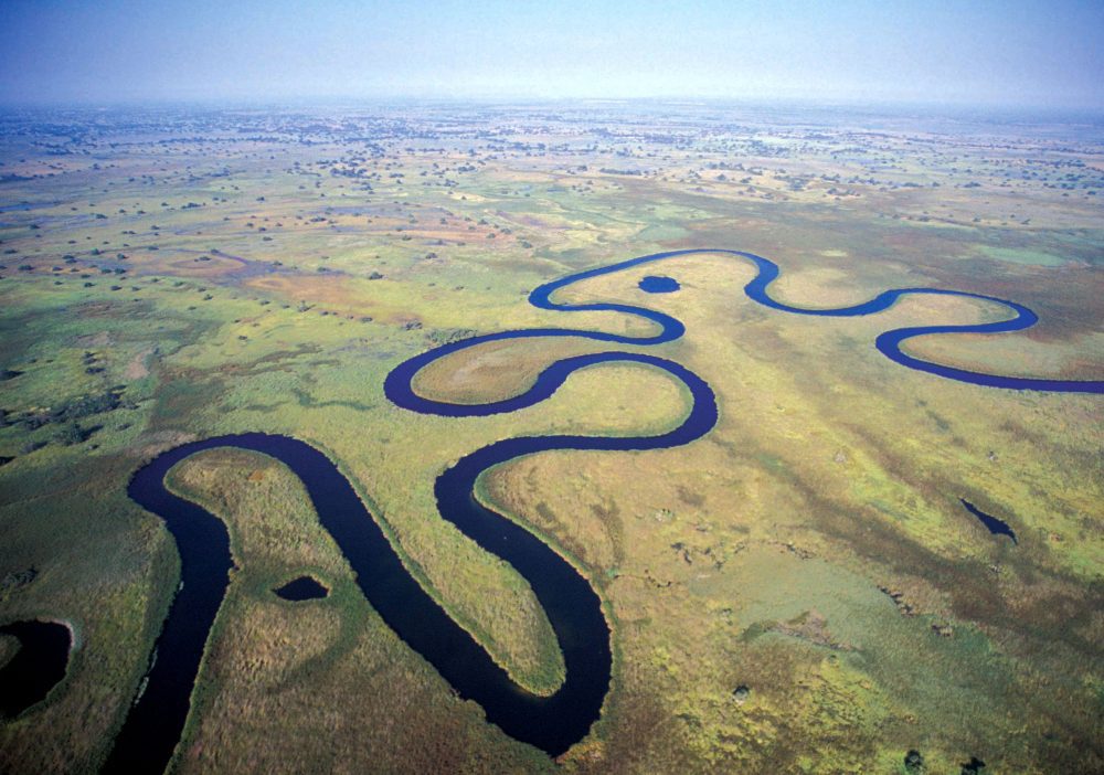 Aerial view of the winding waterways of the Okavango Delta