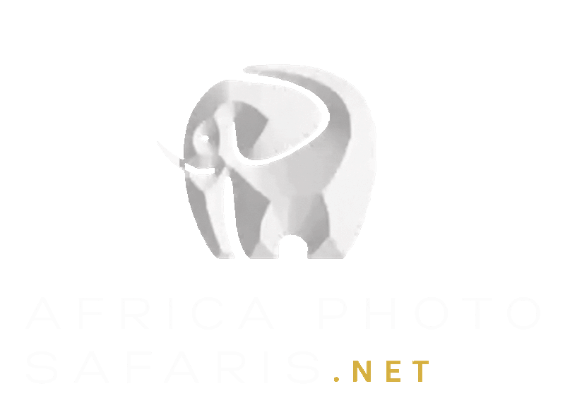 Elephant gif Africa Photo Safaris home